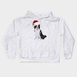 Funny Border Collie Wearing Santa Hat Kids Hoodie